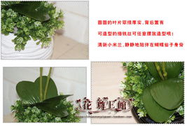 包邮精品仿真花选择指南 蝴蝶兰套装带来生活美学新体验